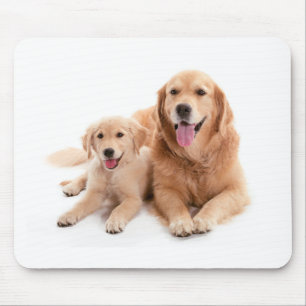 Golden Retriever Buddies Mouse Pad