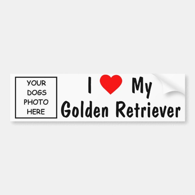 Golden Retriever Bumper Sticker (Front)