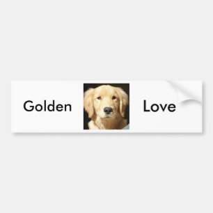 Golden Retriever Bumper Sticker