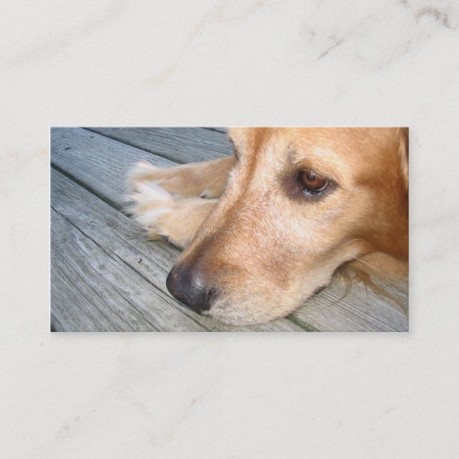 Golden Retriever Business Card (Front)
