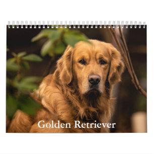 Golden Retriever Calendar