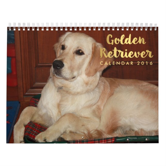 Golden Retriever Calendar 2016 (Cover)