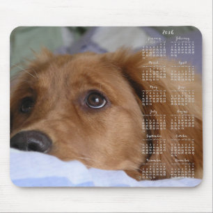 Golden Retriever Calendar 2016 Mouse Pads