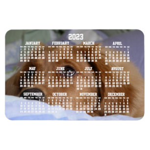 Golden Retriever Calendar 2023 Large Photo Magnet