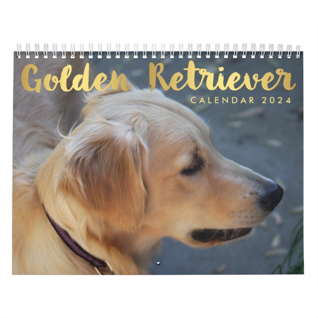 Golden Retriever Calendar 2024 Photos (Cover)