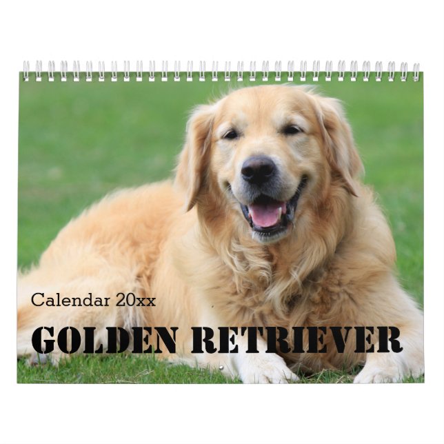 Golden Retriever Calendar 2026 (Cover)