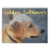 Golden Retriever Calendar 2026 With Photos