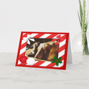 Golden Retriever-Cat Christmas Card Frame