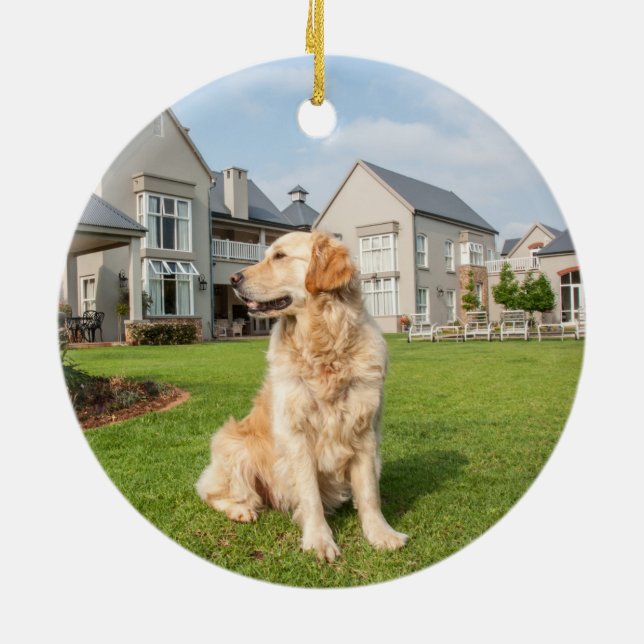 Golden Retriever Ceramic Ornament (Back)