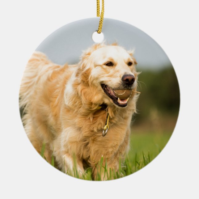 Golden Retriever Ceramic Ornament (Front)