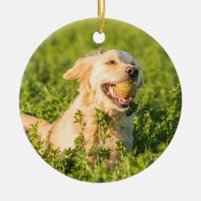 Golden Retriever Ceramic Ornament (Front)
