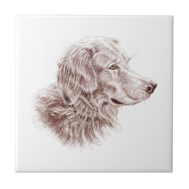 Golden Retriever Ceramic Tile (Front)