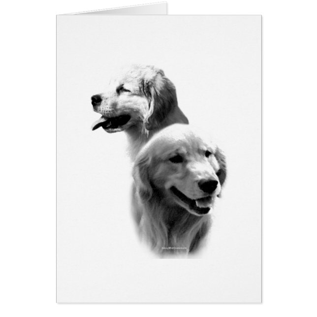 Golden Retriever Charcoal 2 (Front)