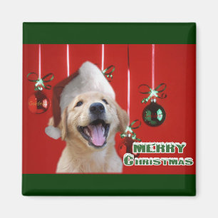 Golden Retriever Christmas Cards Gifts Magnet