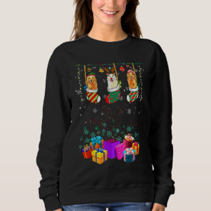 Golden Retriever Christmas Lights Xmas Socks Dog Sweatshirt