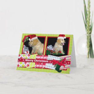 Golden Retriever Christmas puppies Holiday Card