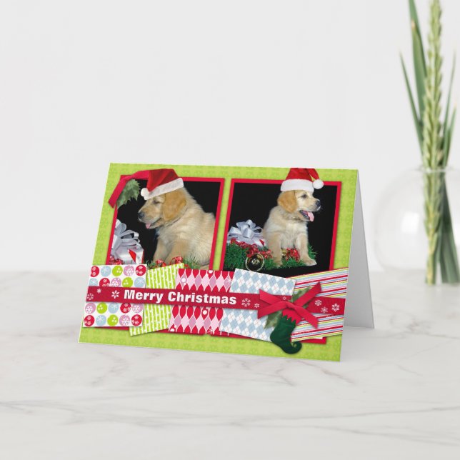Golden Retriever Christmas puppies Holiday Card (Front)