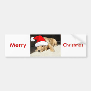 Golden Retriever Christmas Puppy Bumper Sticker