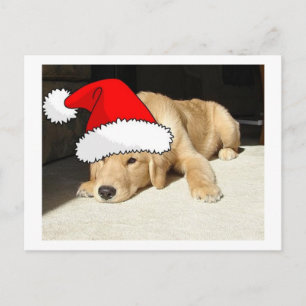 Golden Retriever Christmas Puppy Holiday Postcard
