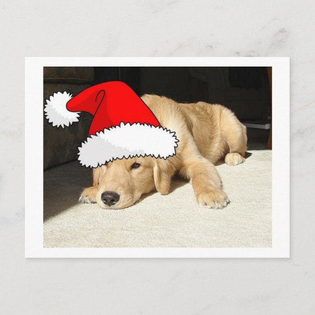 Golden Retriever Christmas Puppy Holiday Postcard (Front)