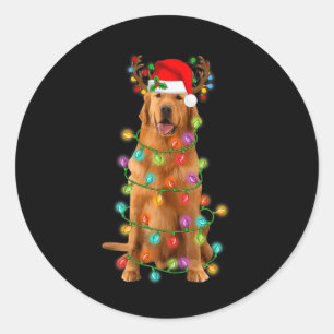 Golden Retriever Christmas Tree Lights Pajama Dog Classic Round Sticker