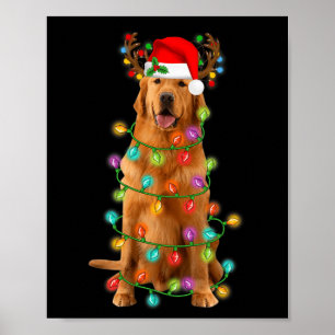 Golden Retriever Christmas Tree Lights Pajama Dog  Poster