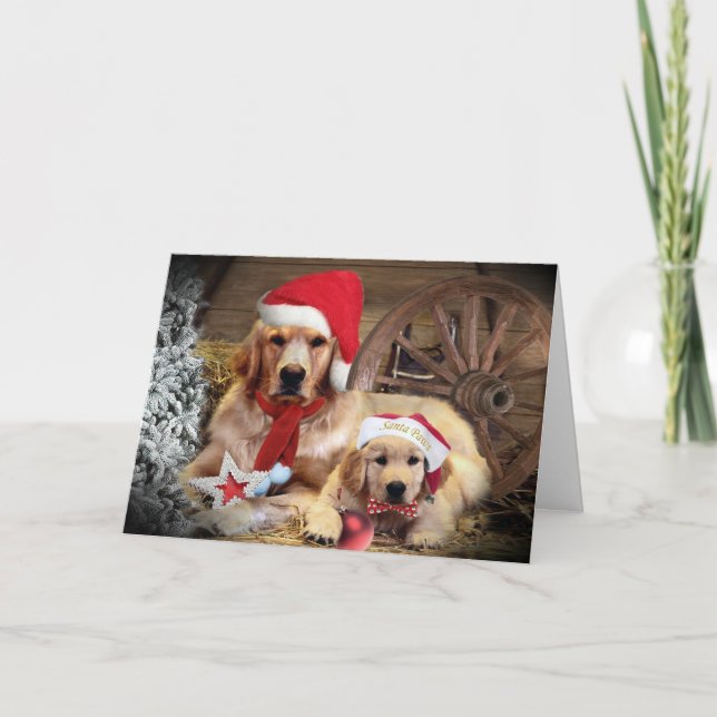Golden Retriever Christmas Western Style Holiday Card (Front)
