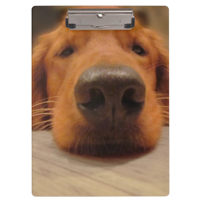 Golden Retriever Clipboard (Front)