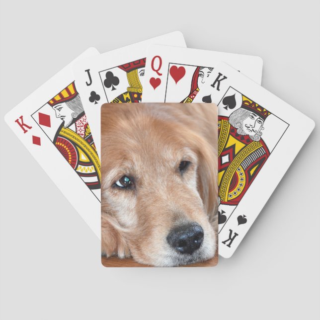 Golden Retriever Closeup Playing Cards (Back)