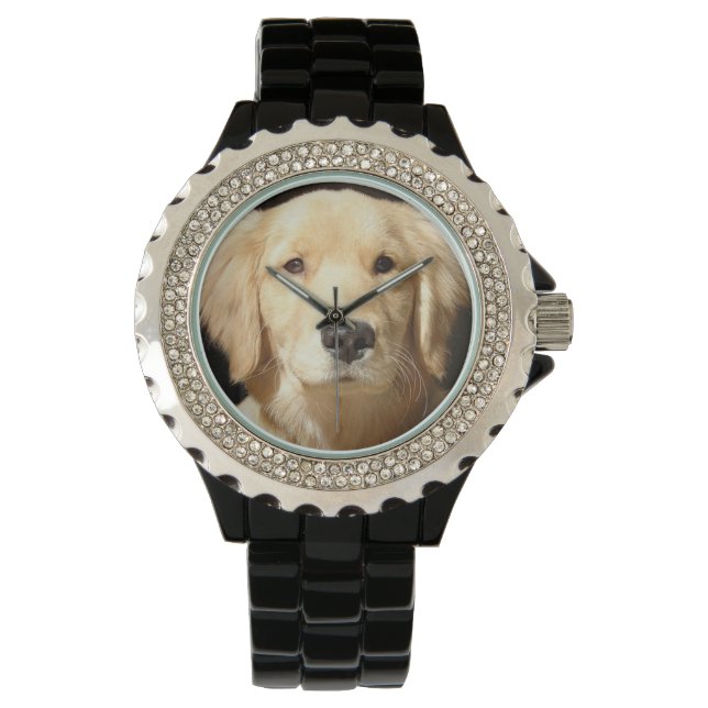 Golden Retriever Closeup Watch (Front)