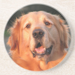 Golden Retriever Coaster