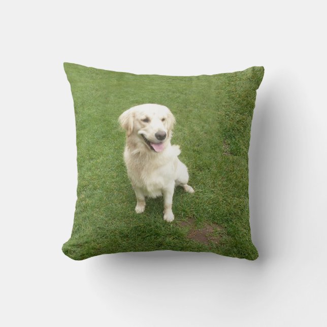 Golden Retriever Cushion (Front)