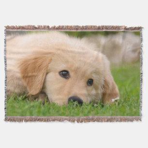 Golden Retriever Cute Dog Puppy Dreaming, soft Throw Blanket