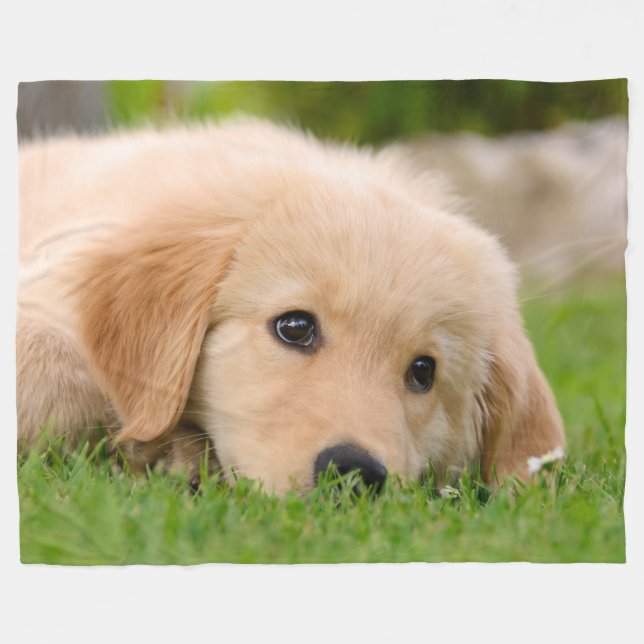Golden Retriever Cute Puppy Dreaming Dog Portrait Fleece Blanket (Front (Horizontal))