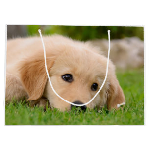 Golden Retriever Cute Puppy Dreaming Portrait - Large Gift Bag