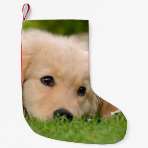 Golden Retriever Cute Puppy Dreaming -Santa mantle Small Christmas Stocking