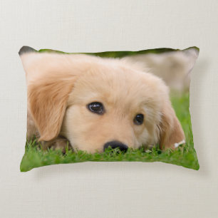Golden Retriever Cute Puppy Dreaming, Throw Decorative Cushion