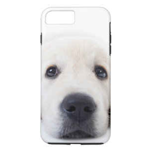 Golden retriever cute puppy lying down iPhone 8 plus/7 plus case