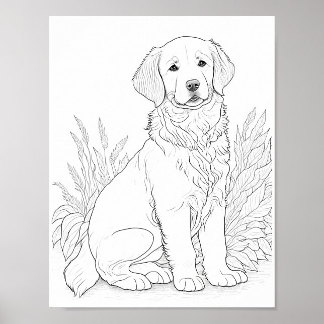 Golden Retriever Dog Adult Colouring Poster (Front)