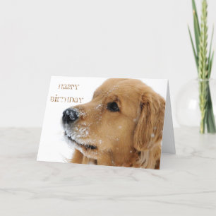 Golden Retriever Dog Card