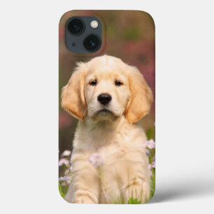 Golden Retriever Dog Cute Goldie Puppy Portrait -  iPhone 13 Case