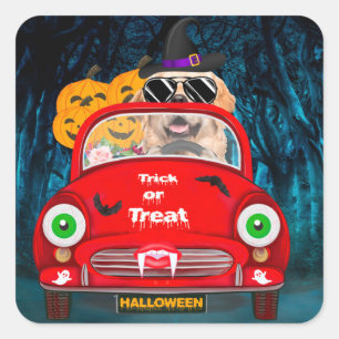 Golden Retriever Dog Driving Car Scary Halloween Square Sticker