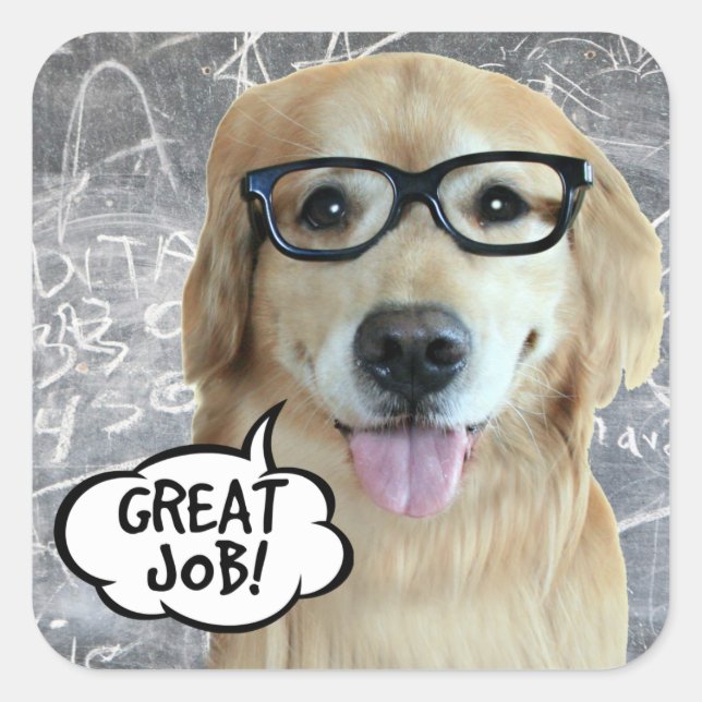Golden Retriever Dog Great Job Teacher Reward Square Sticker (Front)