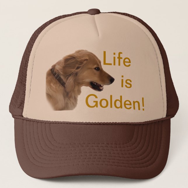 Golden Retriever Dog Hat (Front)