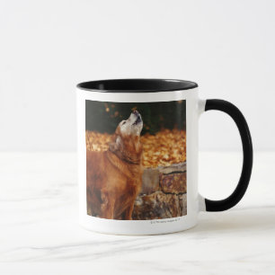 Golden retriever dog howling on path mug