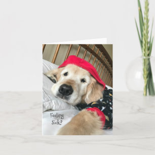 Golden Retriever Dog in Pyjamas Get Well Card