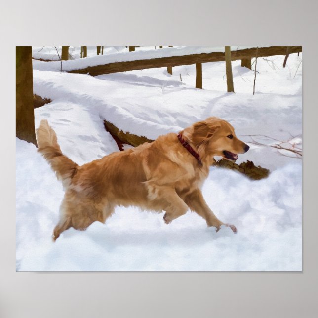 Golden Retriever Dog in the Snow Poster (Front)