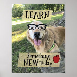 Golden Retriever Dog Learn Something New Classroom Poster