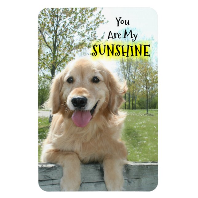 Golden Retriever Dog on Fence You Are My Sunshine Magnet (Vertical)