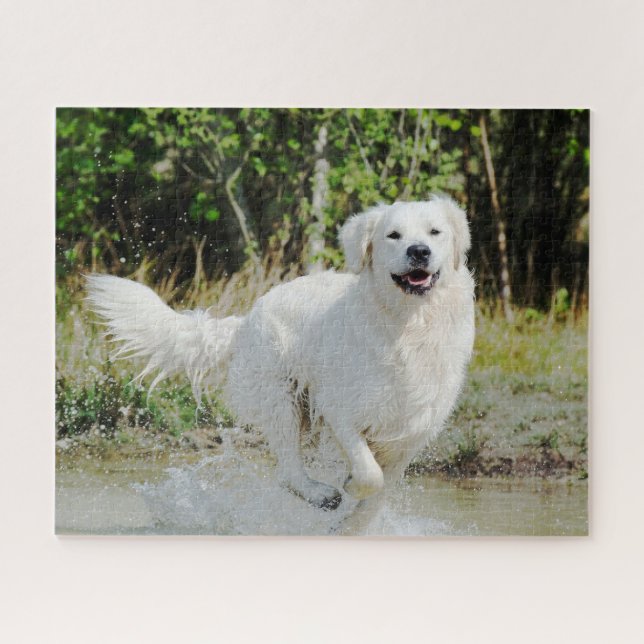 Golden Retriever Dog Pet Animal Joyfully Running Jigsaw Puzzle (Horizontal)